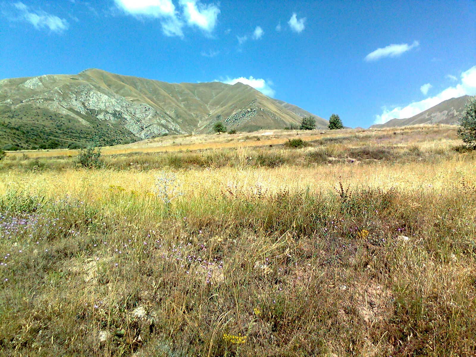 منظره ای از طبیعت زیبای روستای هلق